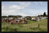 Neuseeländischer Schrottplatz